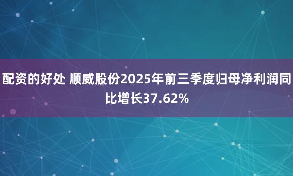 配资的好处 顺威股份2025年前三季度归母净利润同比增长37.62%