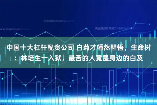 中国十大杠杆配资公司 白菊才幡然醒悟，生命树：林培生一入狱，最苦的人竟是身边的白及